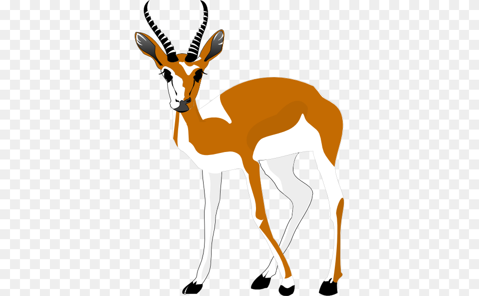 Antelope Clipart, Animal, Gazelle, Mammal, Wildlife Free Transparent Png