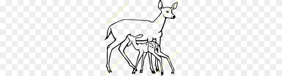 Antelope Clipart, Animal, Deer, Mammal, Wildlife Free Png