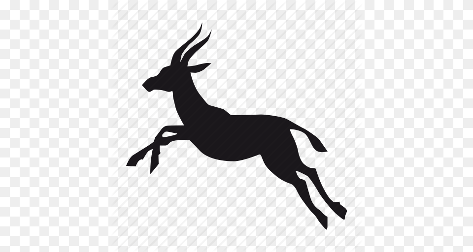 Antelope Clipart Antelope Chinkara Clip Art, Animal, Deer, Mammal, Wildlife Free Png