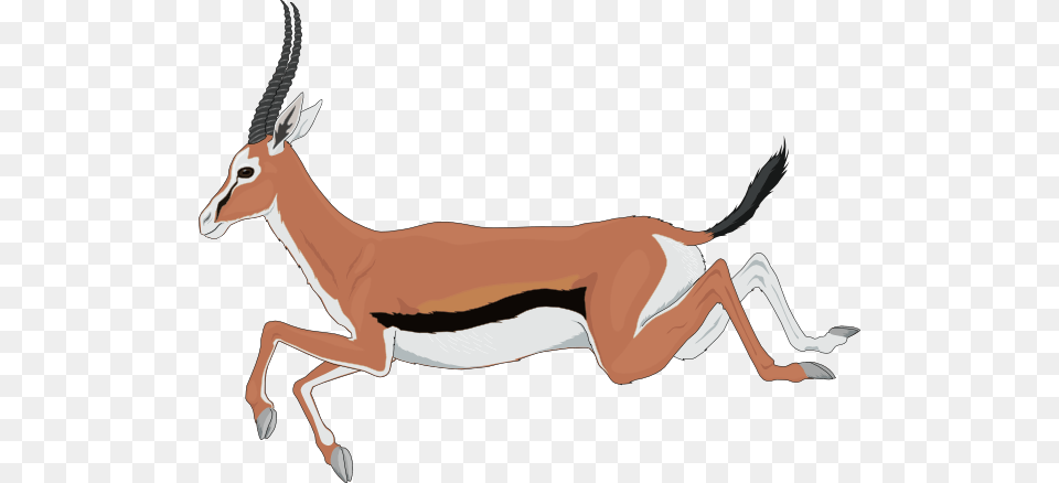 Antelope Cliparts, Animal, Gazelle, Mammal, Wildlife Free Transparent Png