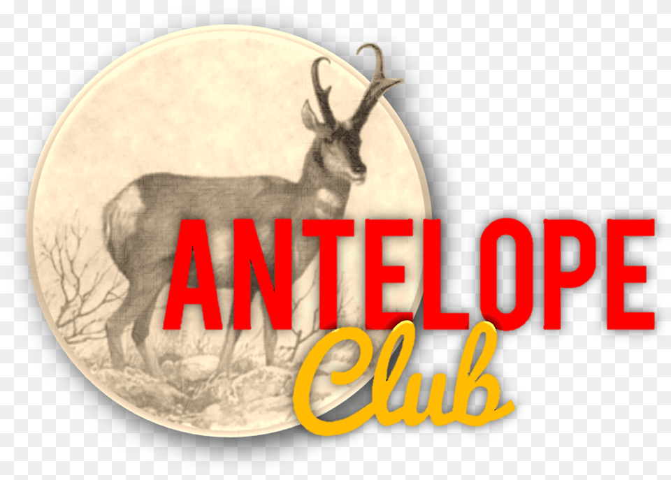 Antelope Club, Animal, Impala, Mammal, Wildlife Png