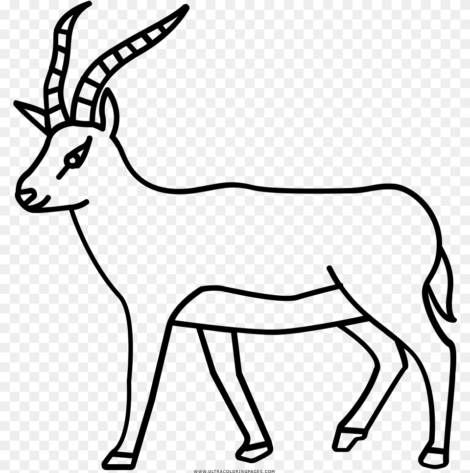 Antelope Coloring, Gray Free Png Download