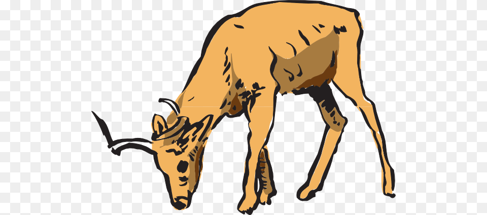 Antelope Eating Animal Clip Art, Wildlife, Mammal, Impala, Livestock Free Png Download