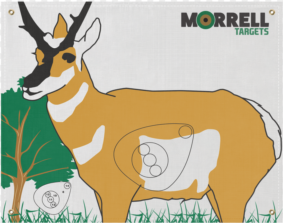 Antelope Polypropylene Archery Target Face Morrell Targets Polypropylene Archery Target Face, Animal, Wildlife, Mammal, Gazelle Free Transparent Png