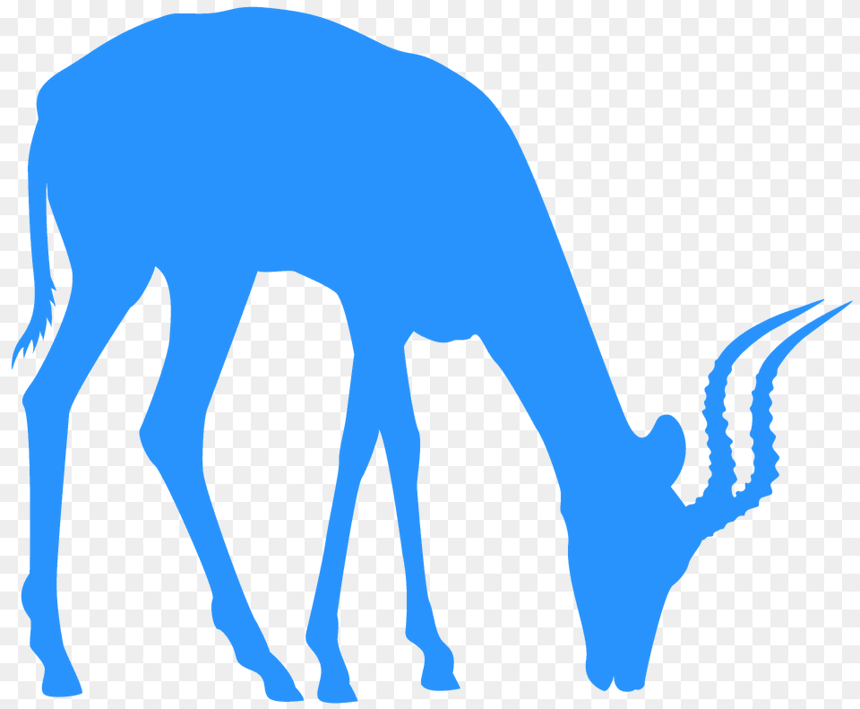 Antelope Silhouette, Animal, Impala, Mammal, Wildlife Png Image