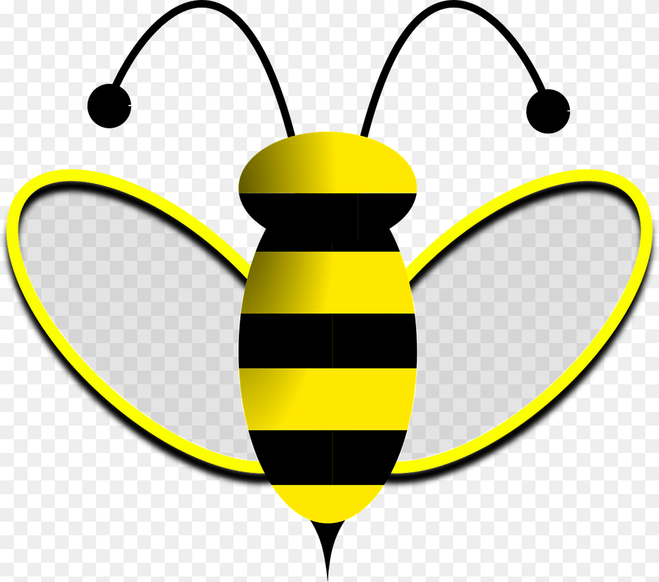 Antena De Abelha, Animal, Invertebrate, Insect, Bee Free Png Download