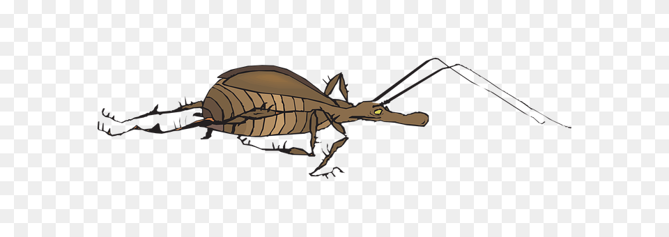 Antenna Animal Free Png Download