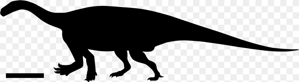 Antetonitrus Silhouette Lesothosaurus, Gray Free Transparent Png