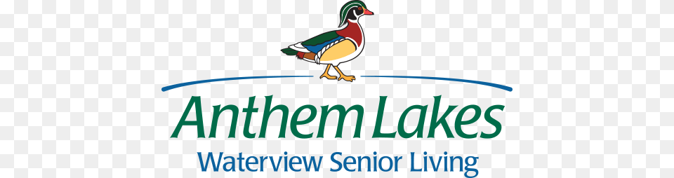Anthem Lakes Retirement Community Logo Anthem Lakes, Animal, Bird, Duck Png