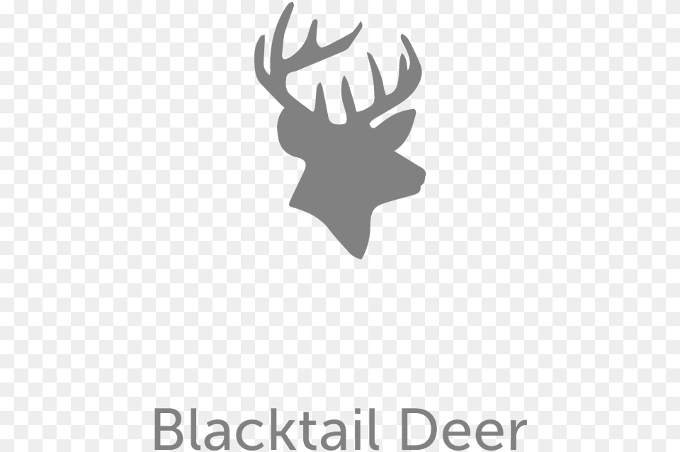 Anthony Gupta Elk, Logo, Antler, Adult, Female Free Png