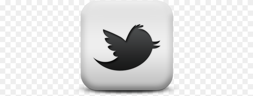 Anthony Martin Advisory Logo In Twitter Transparent, Symbol, Animal, Bird, Blackbird Free Png