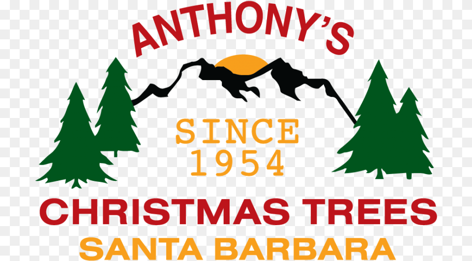 Anthony S Christmas Trees Logo, Plant, Tree, Vegetation, Adult Free Png