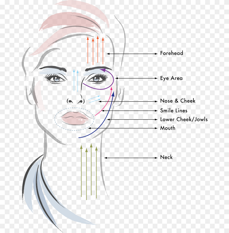Anti Aging Face Massage Steps, Art, Adult, Person, Woman Free Png