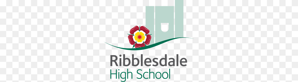 Anti Bullying Week Ribblesdale High School, Art, Graphics, Flower, Plant Png Image