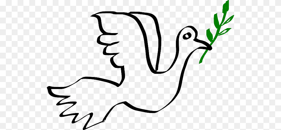 Anti War Peace Dove Twig Flying White Bird Peaceful Clipart, Stencil, Animal, Waterfowl Free Png Download