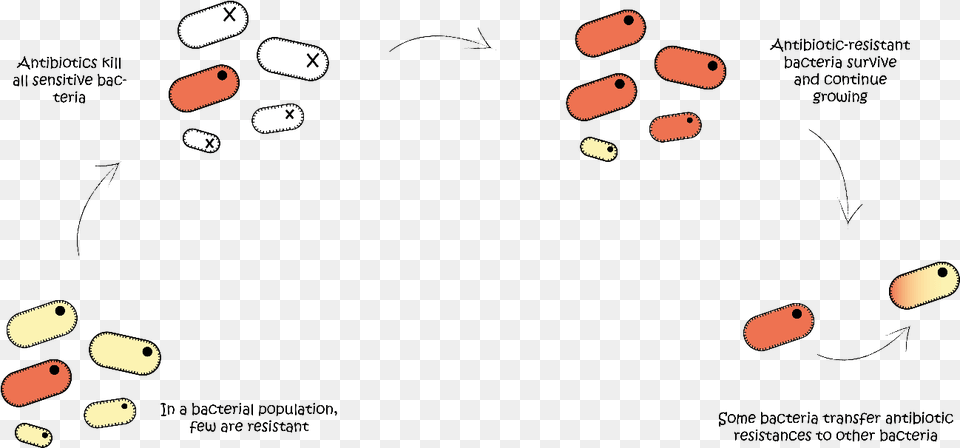 Antibiotic Stopping Reproduction In Bacteria Free Png