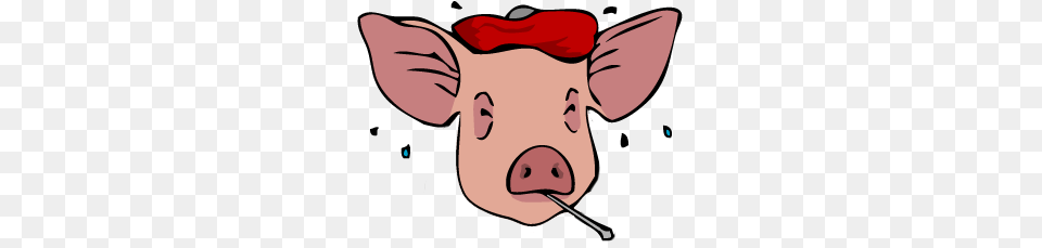 Antibiotics Used, Baby, Person, Snout, Animal Png Image