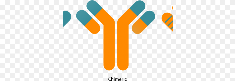 Antibody Humanisation Gtp Technology, Body Part, Hand, Person Free Transparent Png