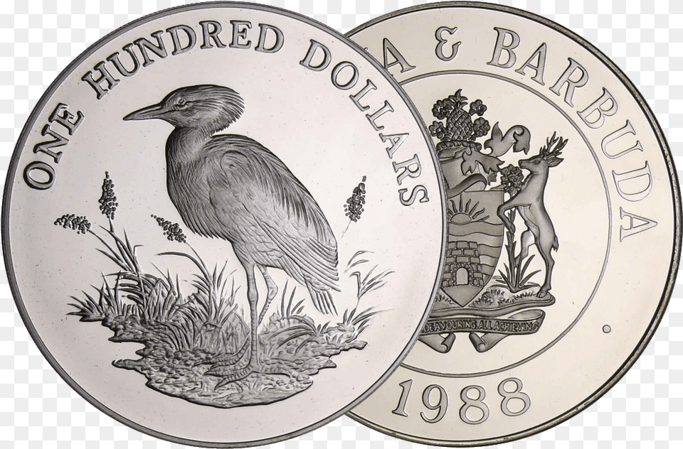Antigua And Barbuda 100 Dollars Cattle Egret, Animal, Bird, Coin, Money Png Image