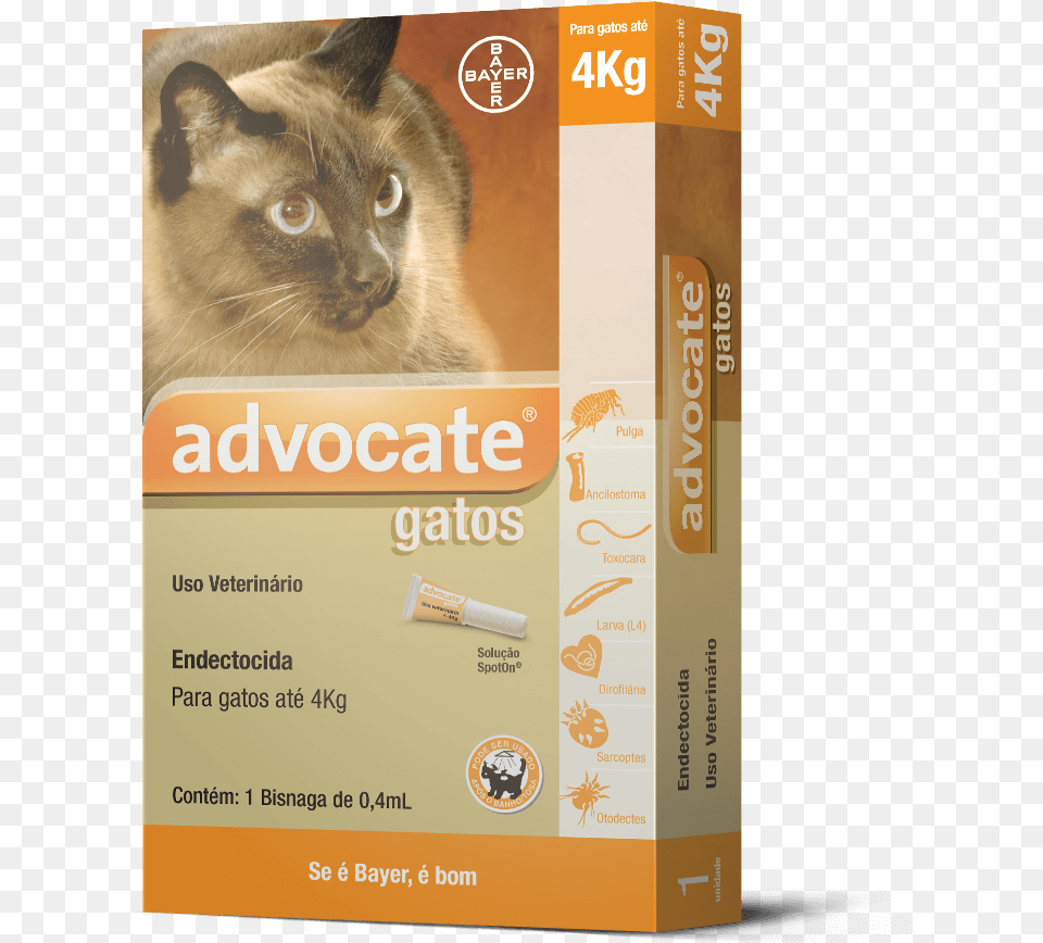 Antipulgas Advocate Gatos 04ml At, Animal, Cat, Mammal, Pet Free Png
