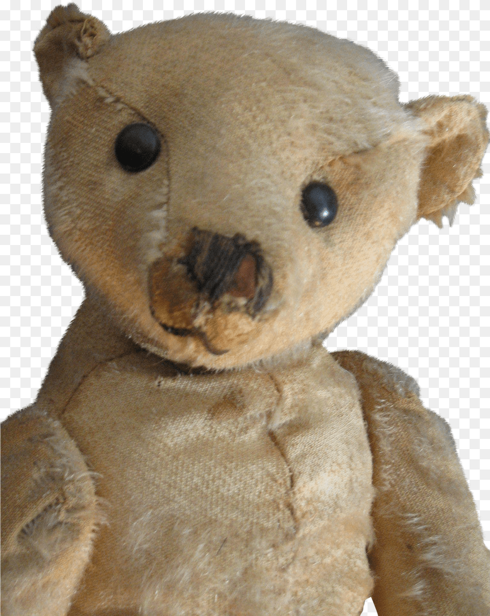 Antique 16 Beige Steiff Bear Animal Figure Free Png