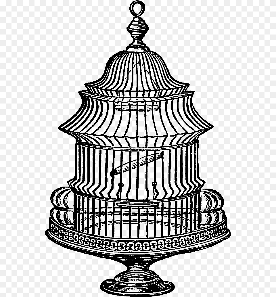 Antique Bird Cage Drawing Vintage Bird Cage Illustration Chandelier, Lamp, Lighting, Person Free Png Download