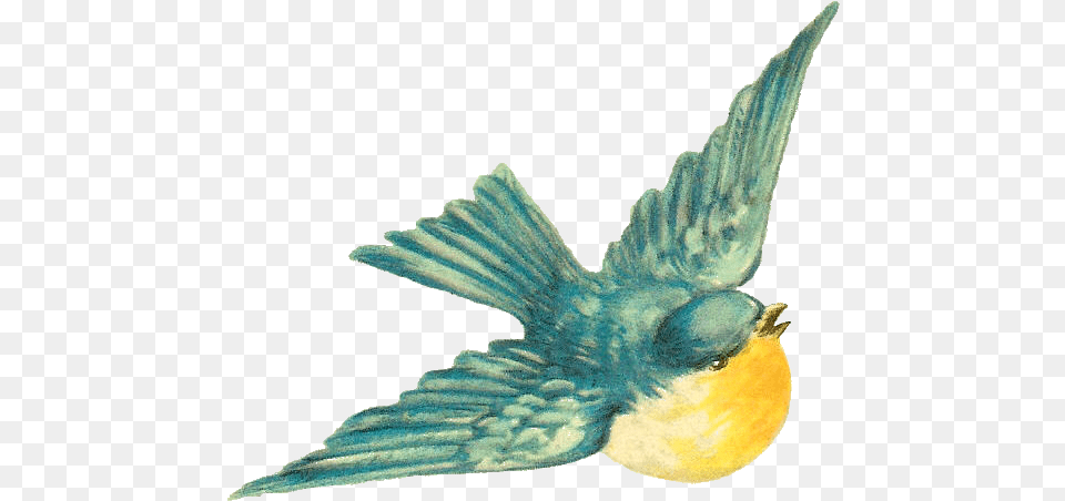 Antique Images Bird Clip Art Vintage Clipart Vintage Bluebirds, Animal, Jay, Fish, Sea Life Free Png
