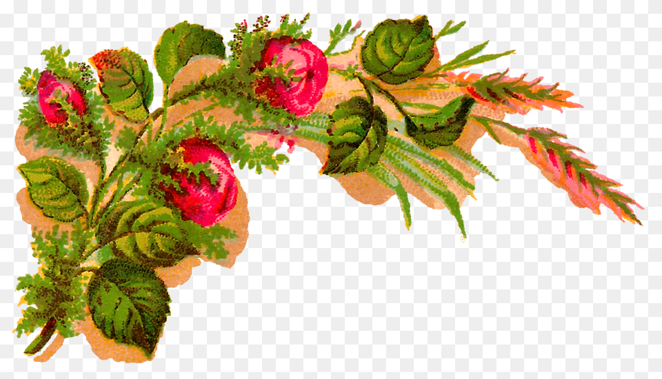 Antique Images Digital Decorative Flower Corner Download Rose, Art, Floral Design, Graphics, Leaf Free Png