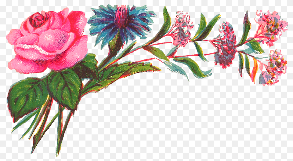 Antique Images Digital Decorative Flower Corner Rose, Art, Floral Design, Graphics, Pattern Png