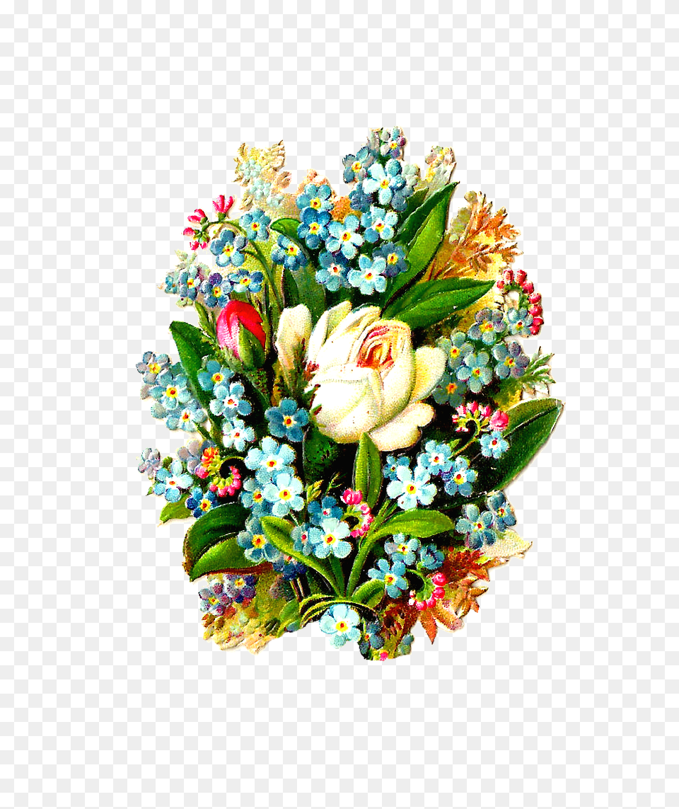 Antique Images Digital Flower Clip Art Graphic Of White, Flower Bouquet, Plant, Flower Arrangement, Pattern Png
