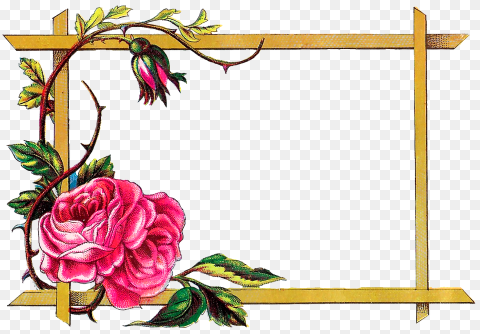 Antique Images Floral Frame Digital Download Pink Rose Border, Flower, Plant, Art Free Png