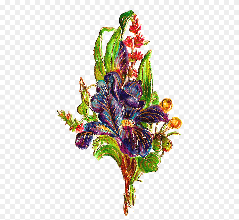 Antique Images Free Flower Graphic Wild Digital Iris, Plant, Pattern, Leaf, Flower Arrangement Png