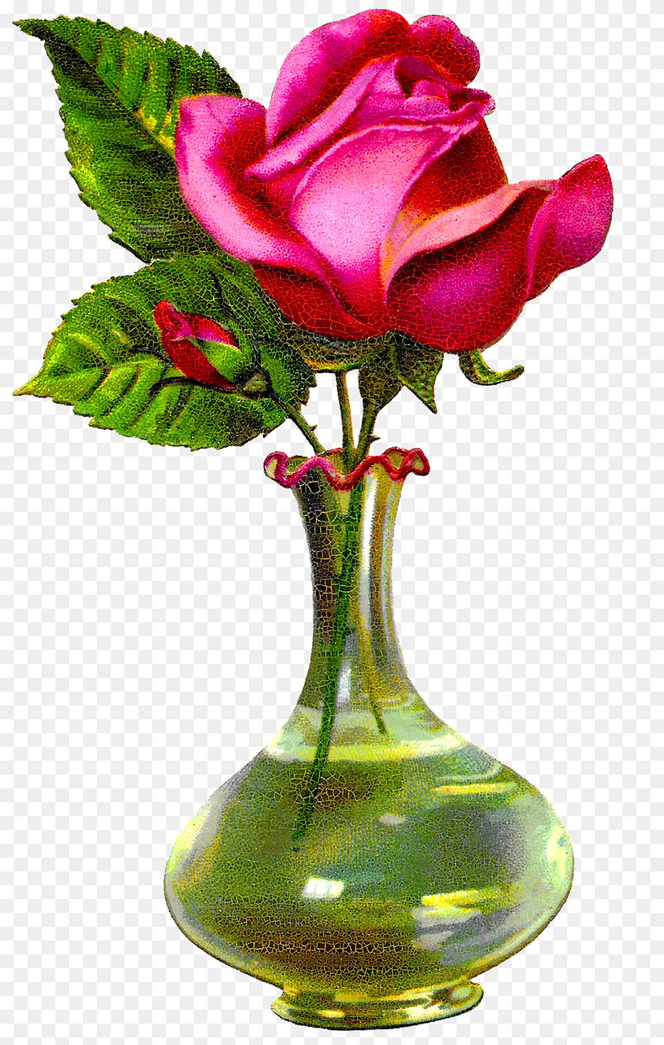 Antique Images Pink Rose Rose Flower With Vase, Jar, Plant, Pottery, Flower Arrangement Free Transparent Png