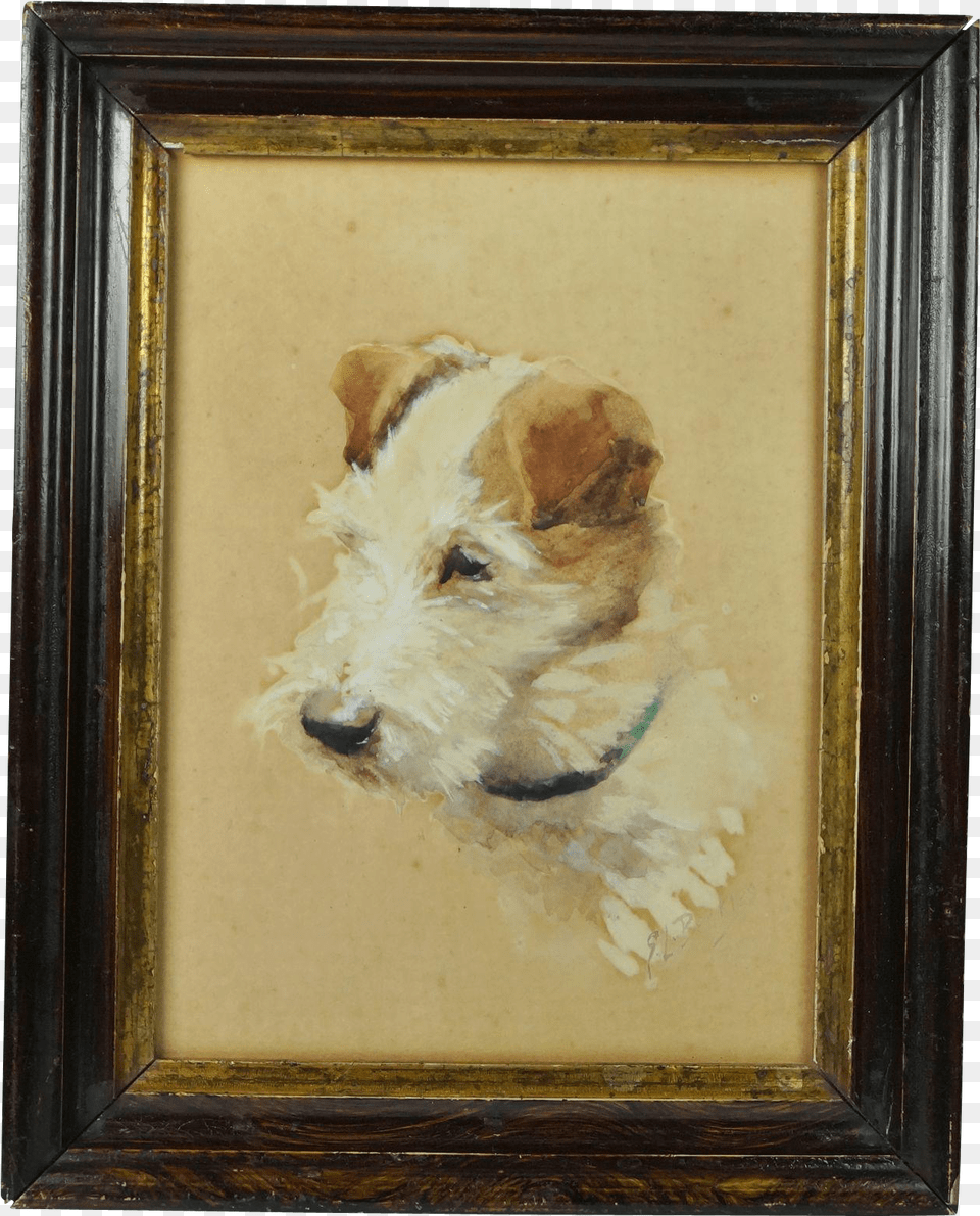 Antique Jack Russell Dog Watercolor Portrait Signed Wire Hair Fox Terrier, Art, Painting, Animal, Canine Free Transparent Png