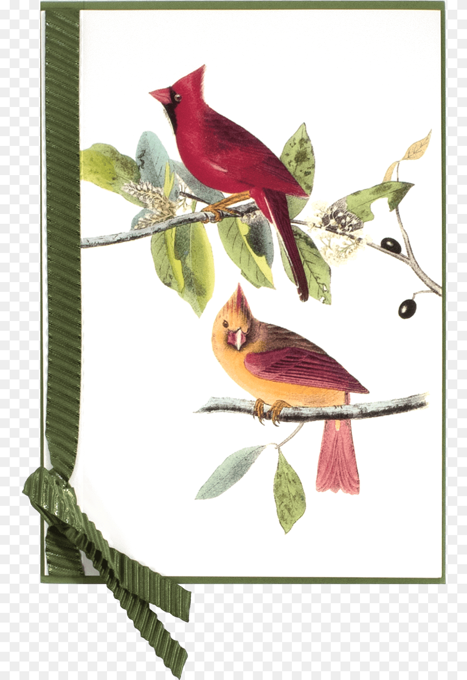Antique Red Bird Northern Cardinal, Animal Free Png