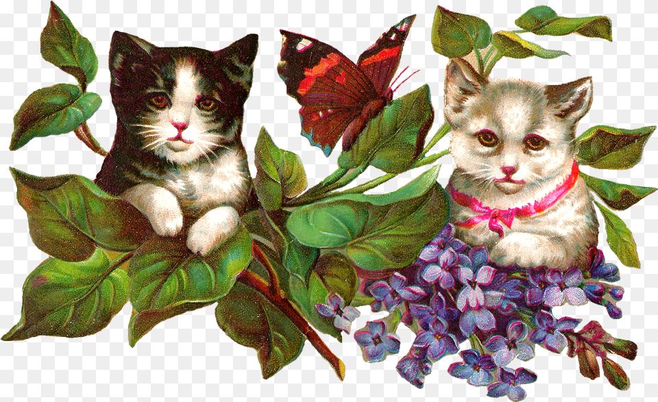 Antique Vintage Vintage Flower Cat Clipart, Plant, Leaf, Art, Collage Png