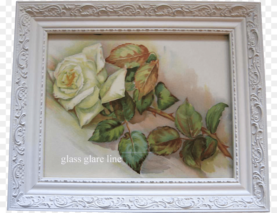 Antique White Roses Print Buy Now At Picture Frame, Art, Painting, Flower, Plant Png