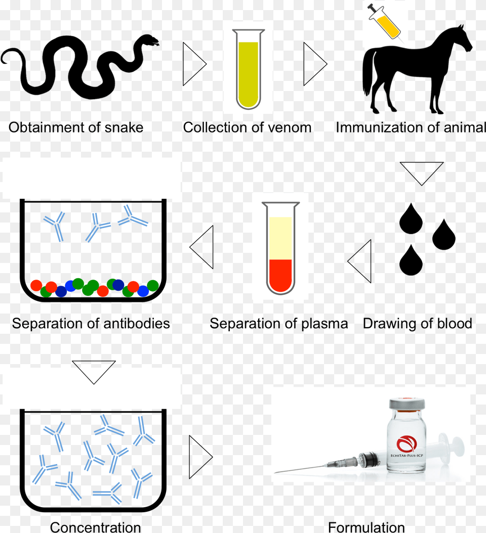 Antivenom Preparation, Animal, Horse, Mammal Png