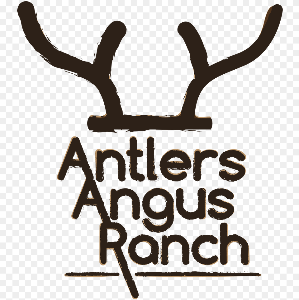 Antler, Animal, Deer, Mammal, Wildlife Free Png Download