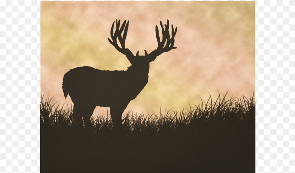 Antler, Animal, Antelope, Deer, Mammal Png Image