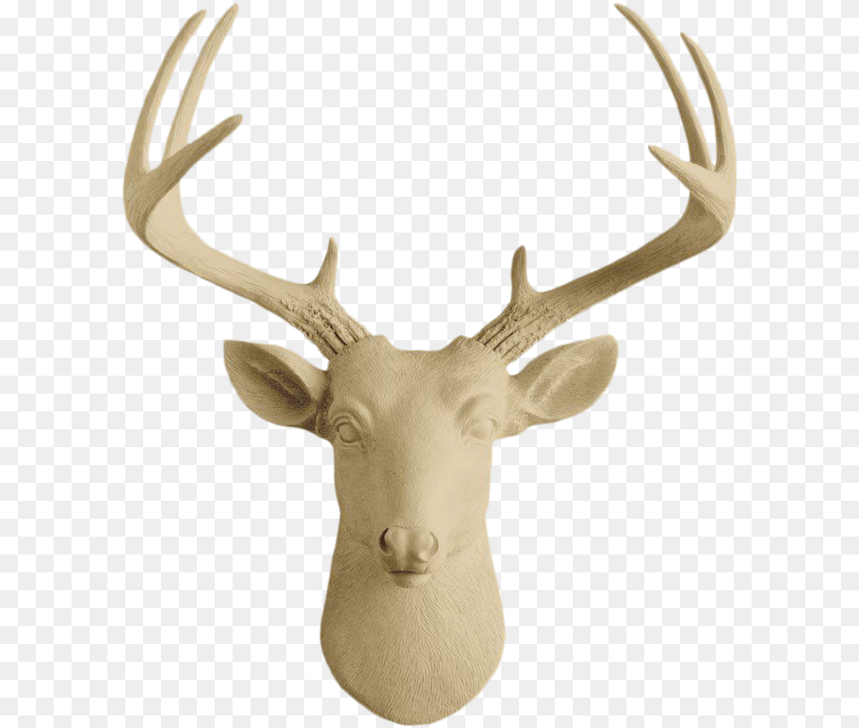 Antler, Animal, Antelope, Mammal, Wildlife Free Transparent Png