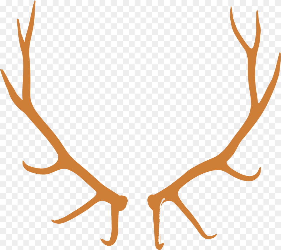 Antler, Animal, Kangaroo, Mammal Free Png Download