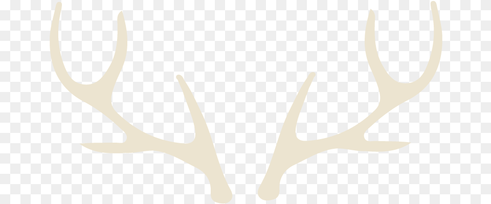 Antler, Animal, Kangaroo, Mammal Png