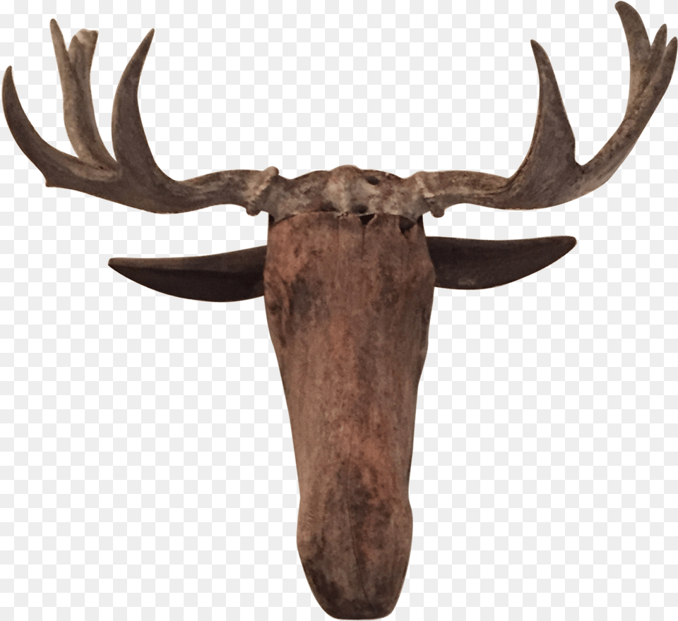 Antler, Animal, Moose, Mammal, Wildlife Free Png Download