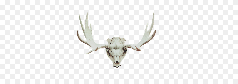 Antler Smoke Pipe Png Image