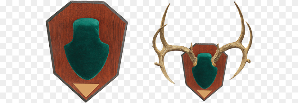 Antler, Armor, Shield Free Png Download