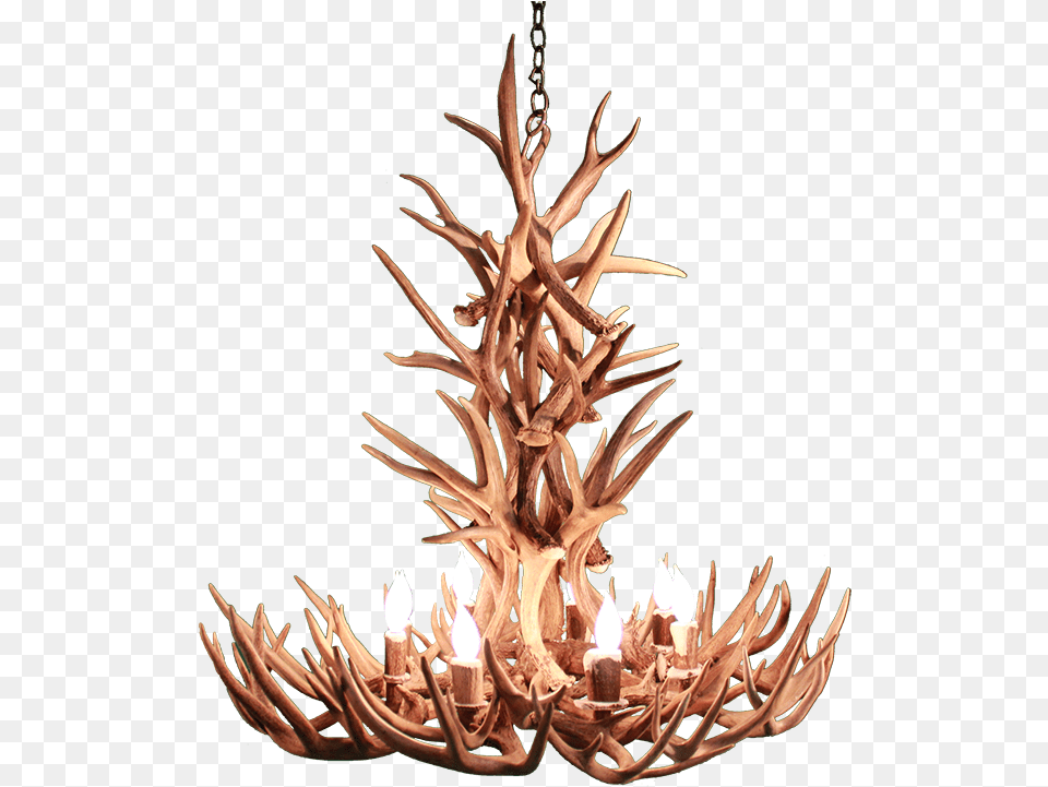 Antler, Chandelier, Lamp, Plant Png Image