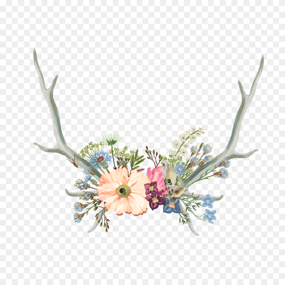 Antler Clipart Flower Crown Flower Crown, Plant, Flower Bouquet, Flower Arrangement, Floral Design Png