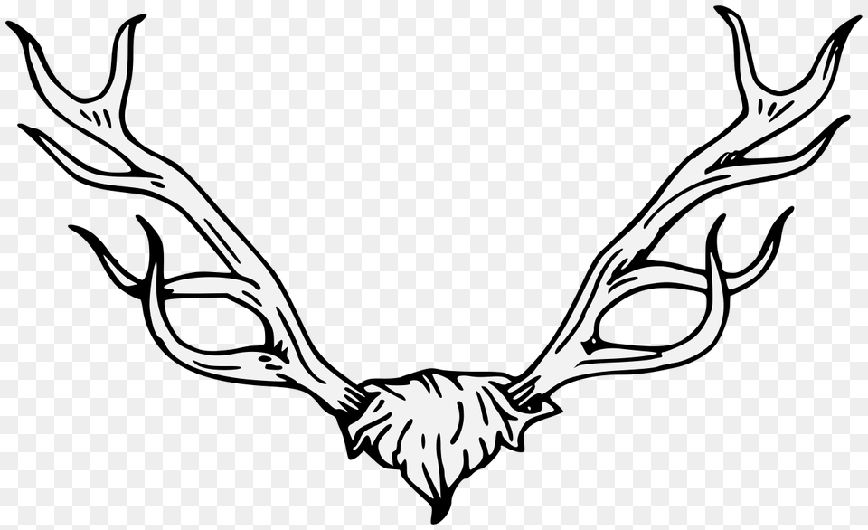 Antler Clipart Traceable, Stencil, Animal, Fish, Sea Life Free Transparent Png