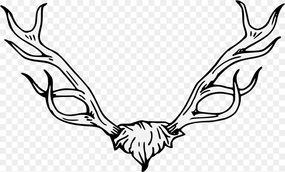 Antler Clipart Traceable, Stencil, Reptile, Animal, Dinosaur Free Transparent Png